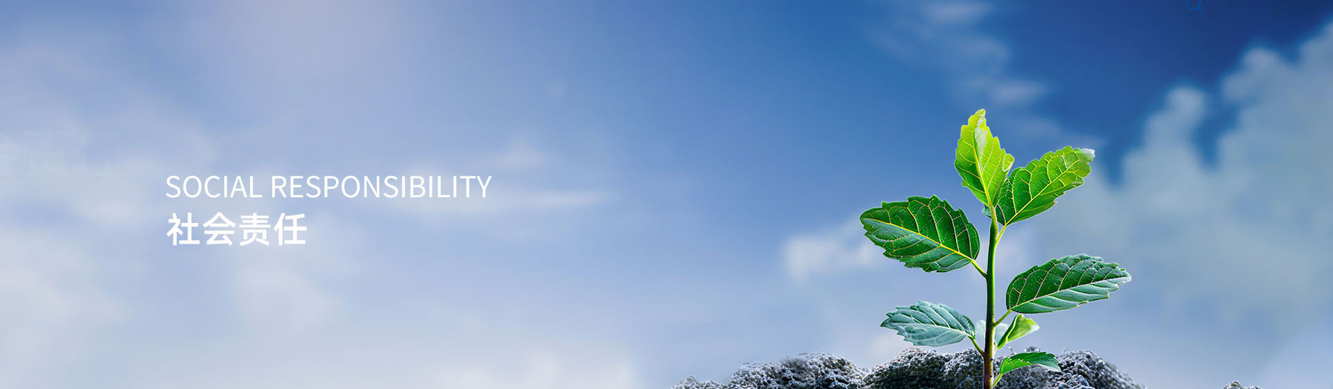 社会责任