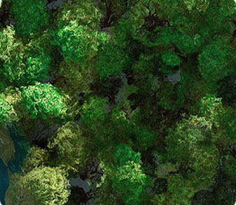 环保与可持续性